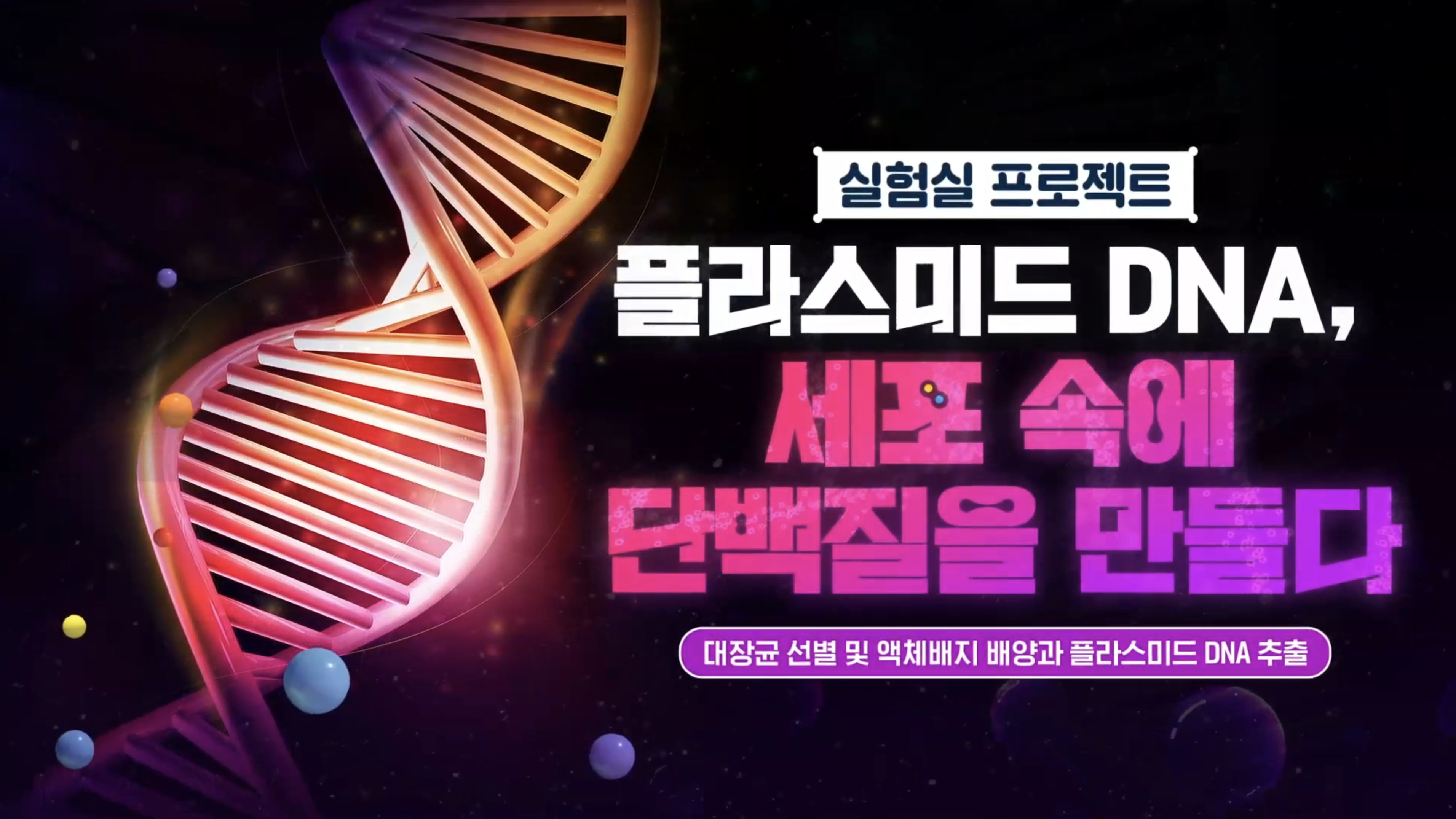 플라스미드 DNA